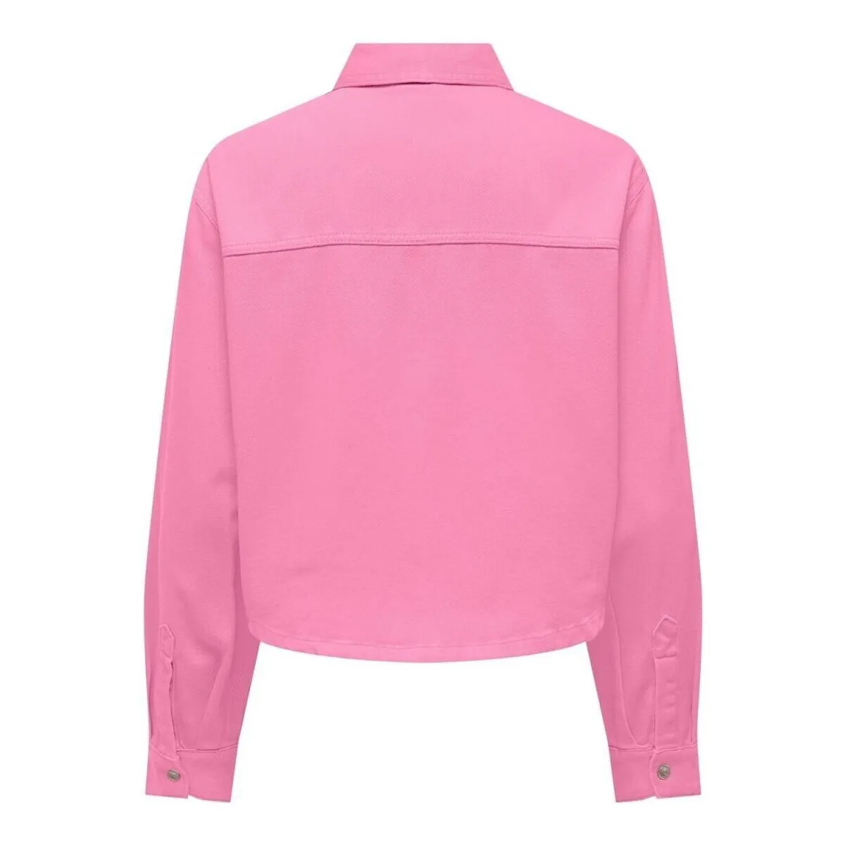 15308207 DREW B SHACKETBEGONIA PINK