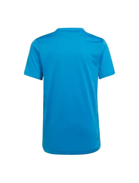 ADIDAS Camiseta Club Pulse Blue