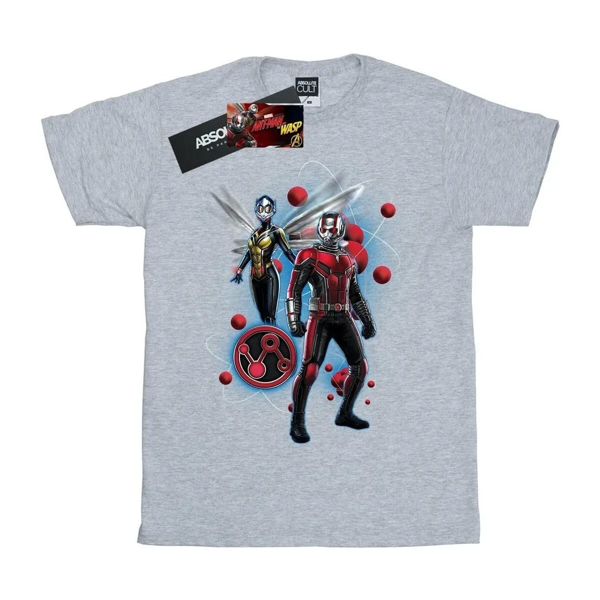 ANTMAN AND THE WASP PARTICLE POSE
