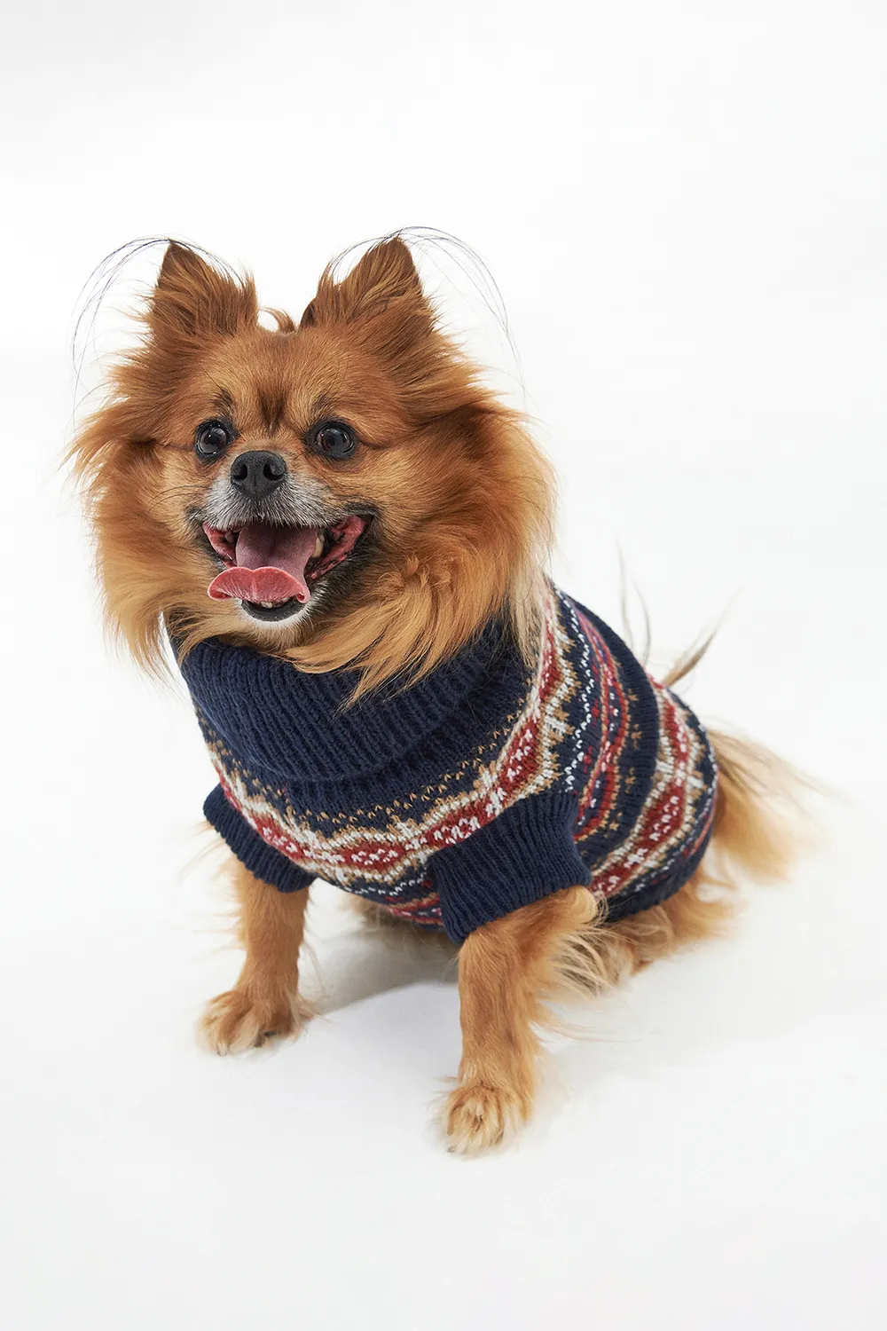 Barbour Jersey Perro Case Fairisle