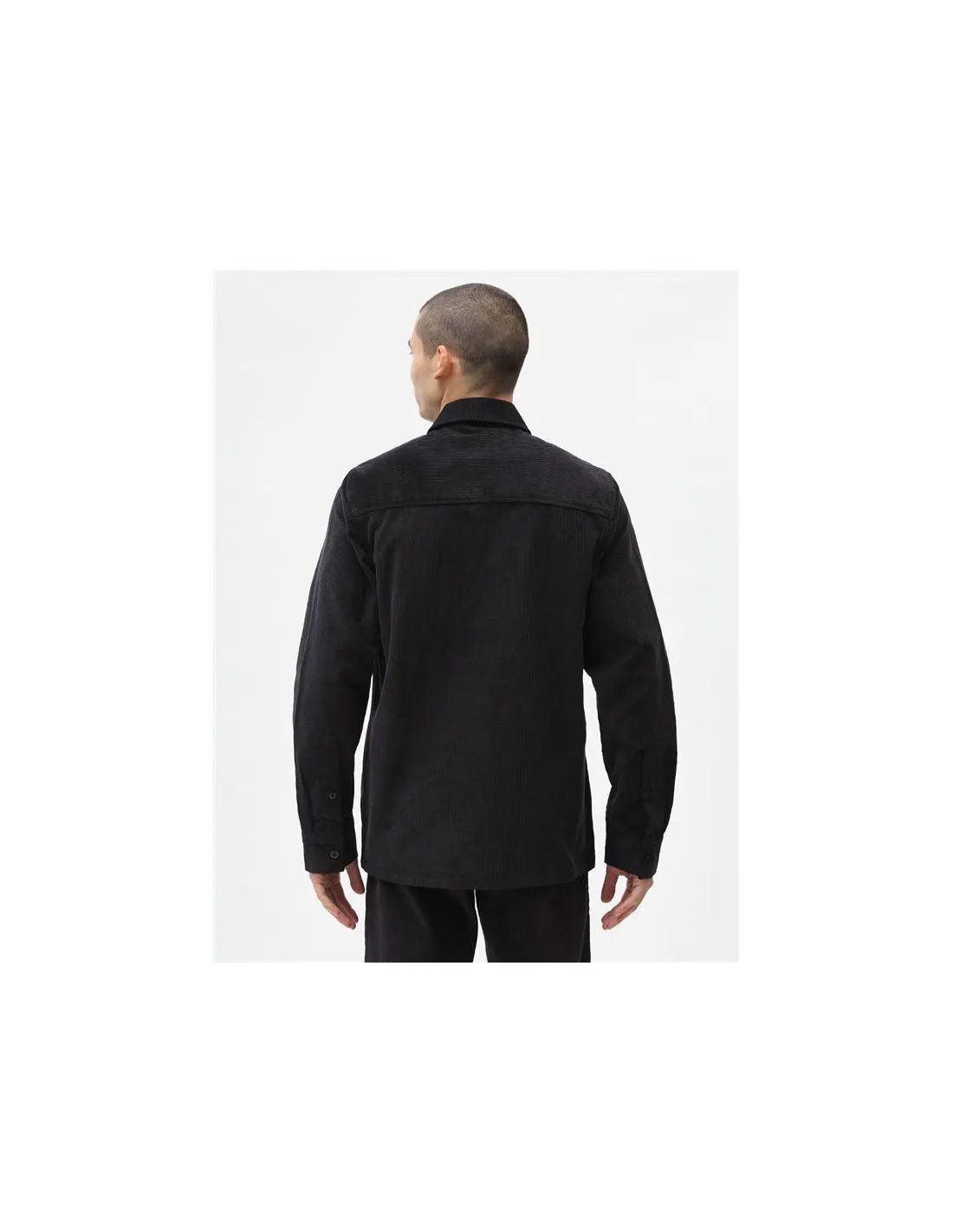 Camisa Dickies Higginson Ls Hombre