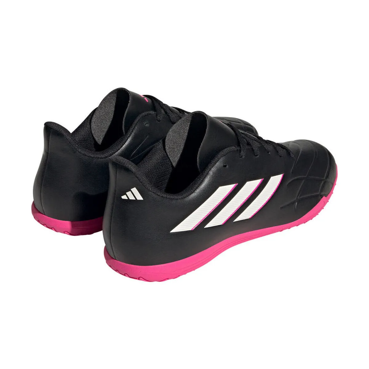 COPA PURE.4 IN NEBL