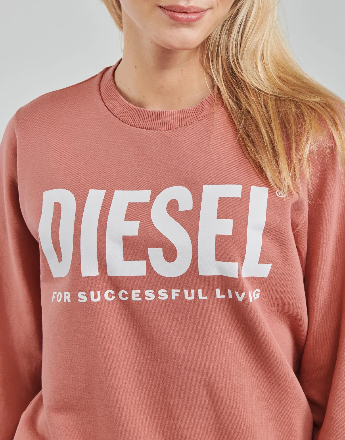 FANGSECOLOGO