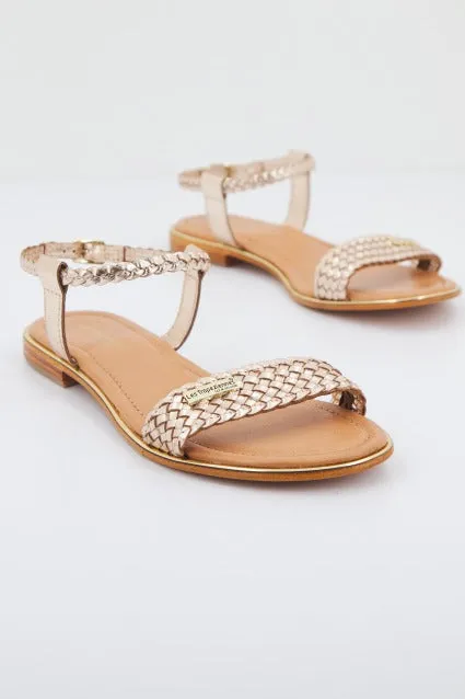 LES TROPEZIENNES C42308HIPPY