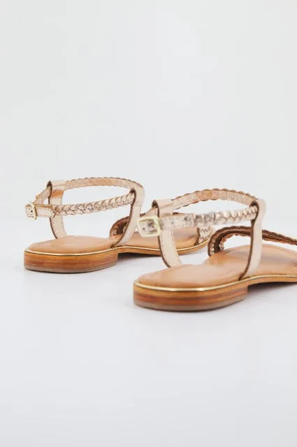 LES TROPEZIENNES C42308HIPPY