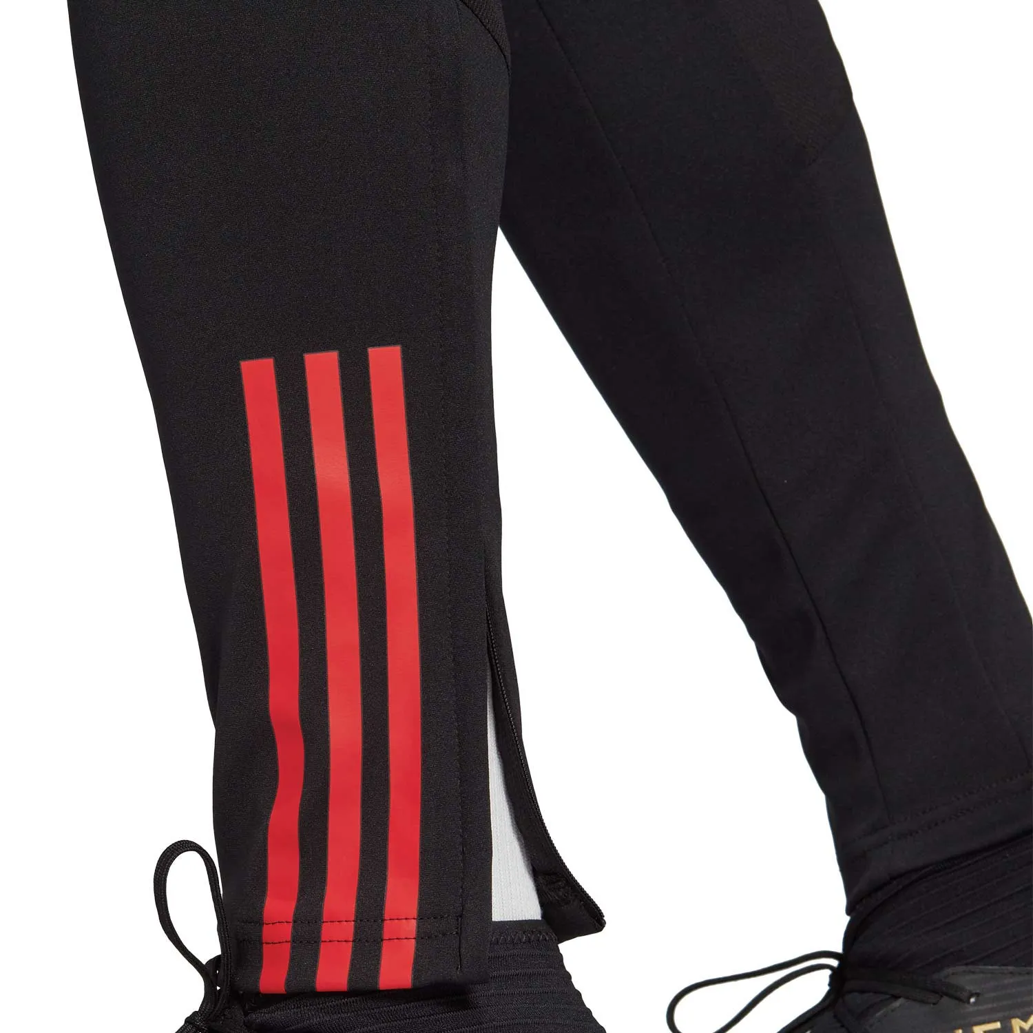 Pantalón adidas Bélgica entrenamiento