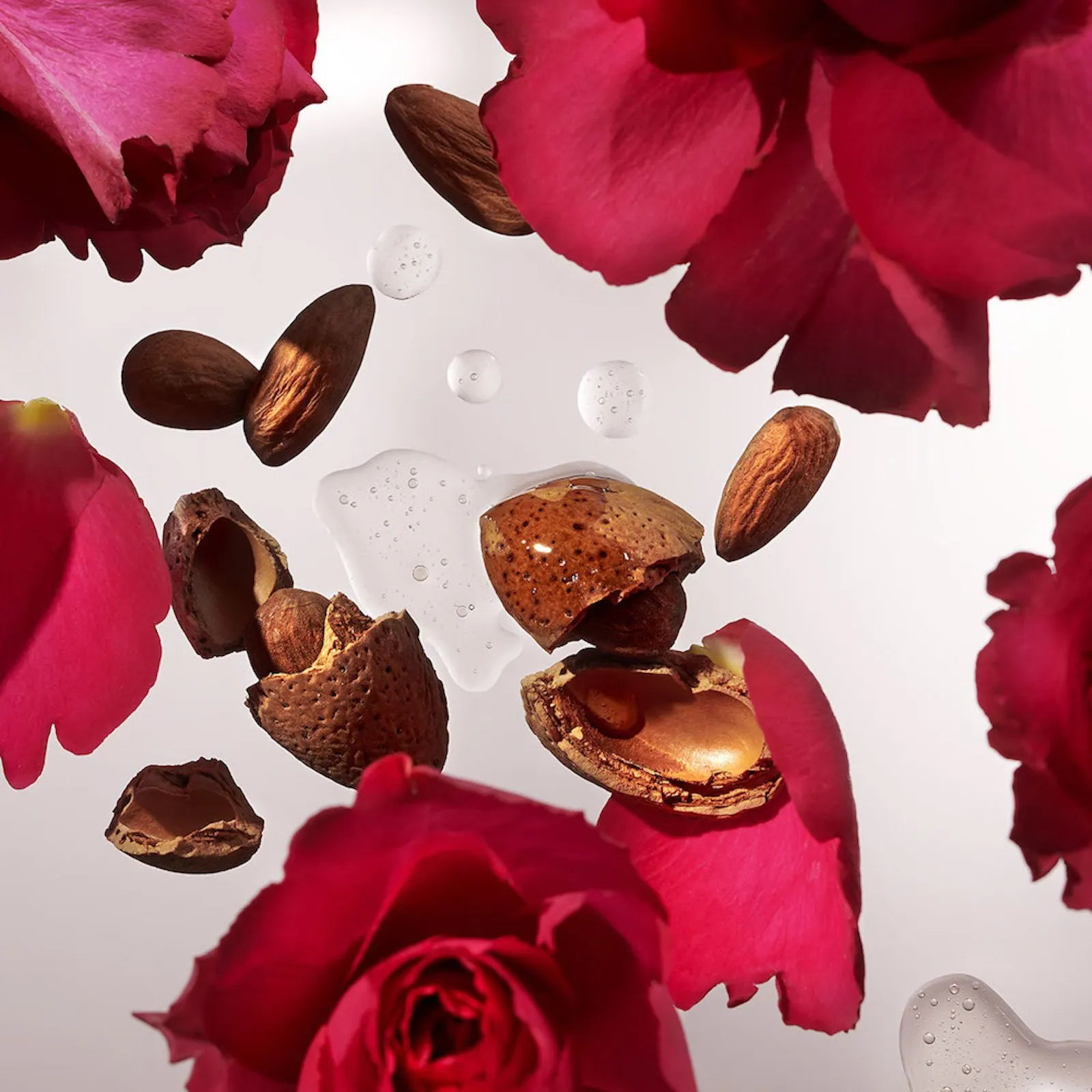 RITUALS THE RITUAL OF AYURVEDA  COFRE ARMONIZADOR L
