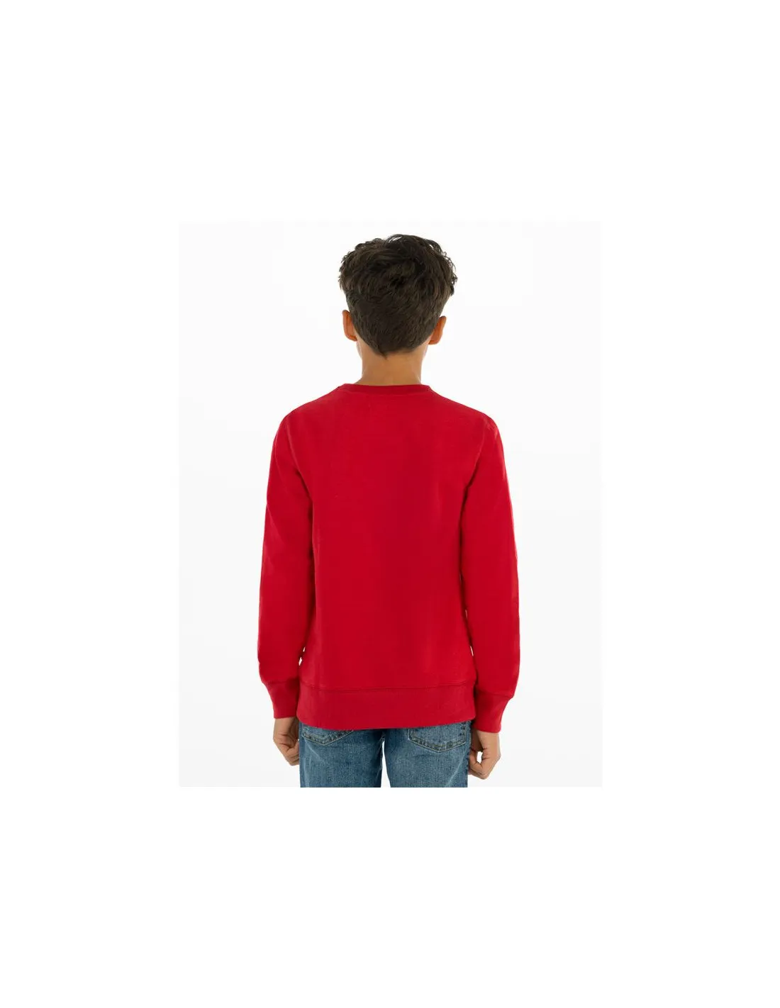 Sudadera Levi's Batwing Crewneck Boy Rojo